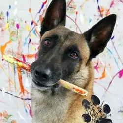 Monkey The Picasso (MONKEY)