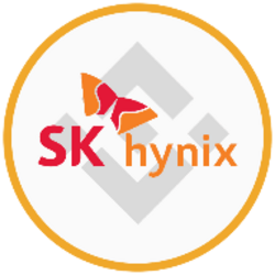SK Hynix (bStocks Tokenized Stock) (SKHYB)