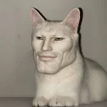 GigaCat (GCAT)