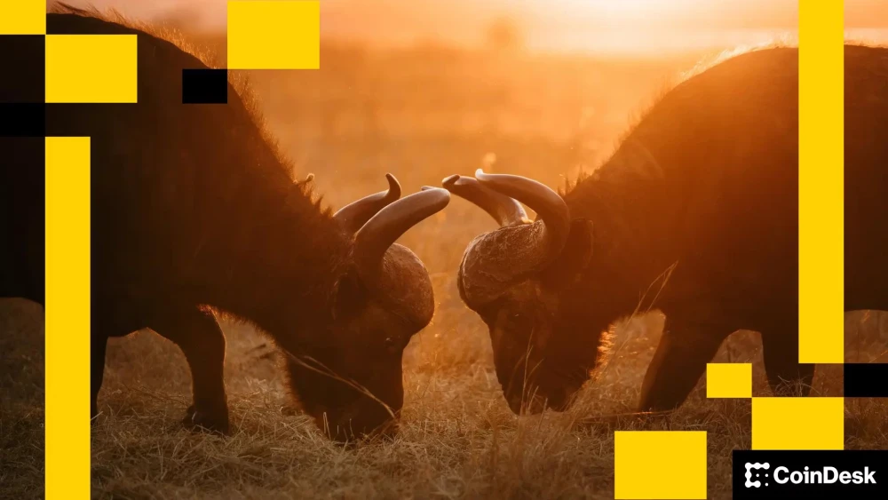 Tether and Circle Face Growing Competition Amid Regulatory Challenges