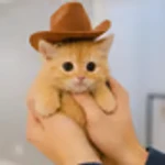 fred the kitty (FRED)
