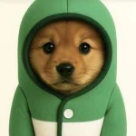 pupfun (PUP)