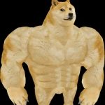 Swole Chad Doge (SWOGE)