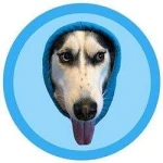 doginhood (DIH)