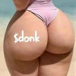 donk on bonk (DONK)