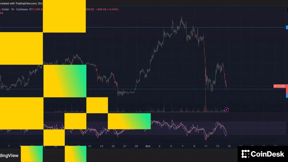 Bitcoin Holds $110,000 Support Amid Market Volatility and Liquidations