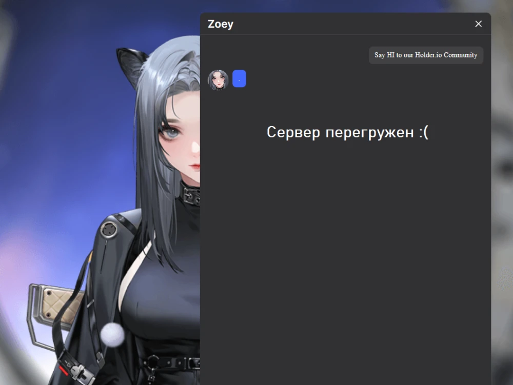 Пообщаться так и не довелось
