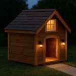 Doghouse Coin (DOGHOUSE)