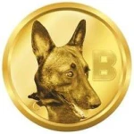 Belgian Malinois (BELG)