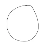 LITERALLY NOTHING (NOTHING)