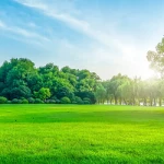 the greatest investment (LAND)