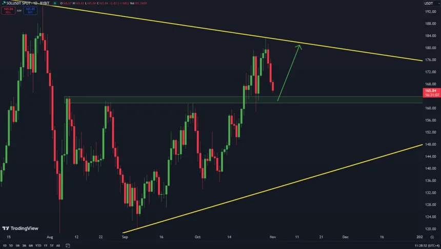 Solana facing a small correction before a move to $180 