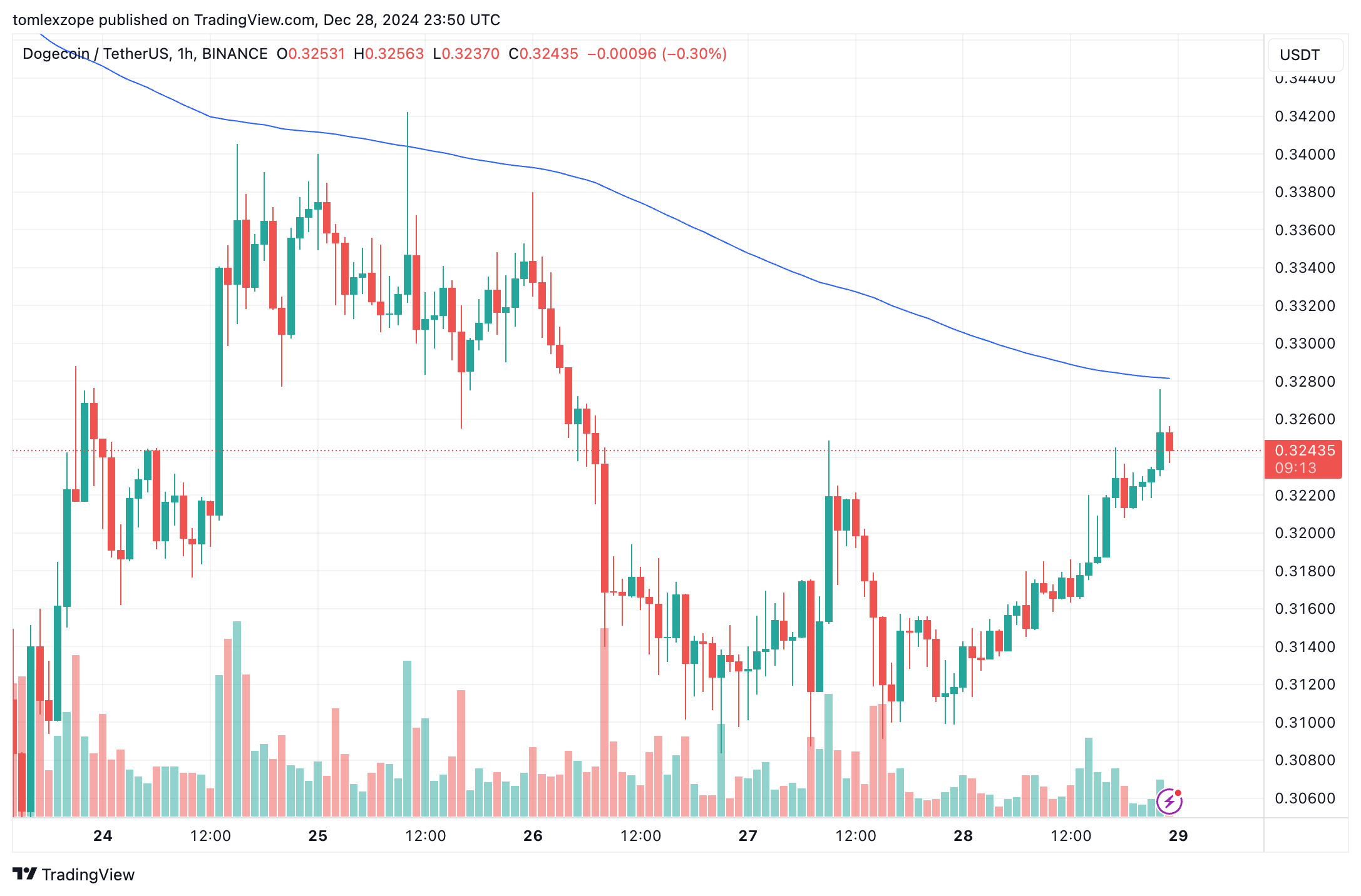 Dogecoin price