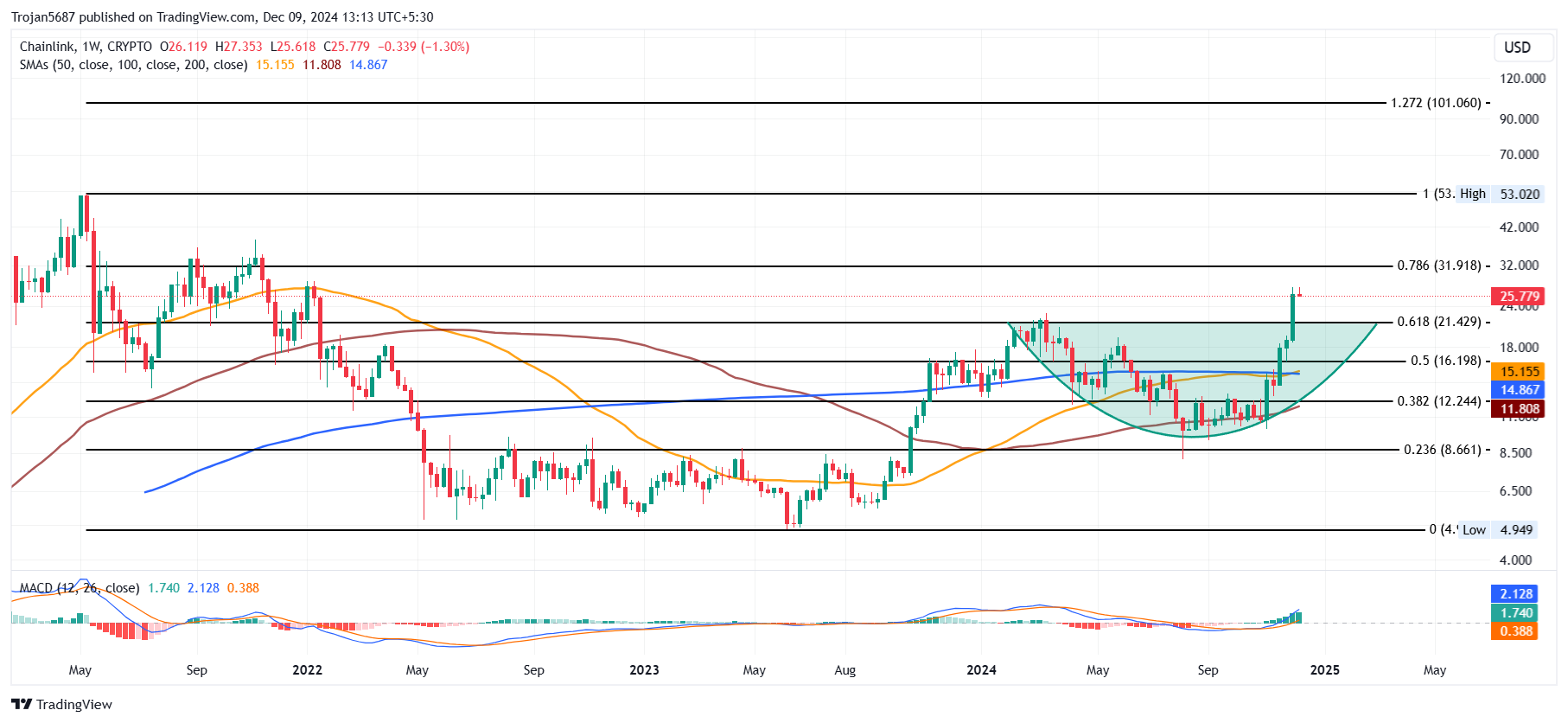 Chainlink Rally Targets $30 Breakout as Whales Holding Doubles