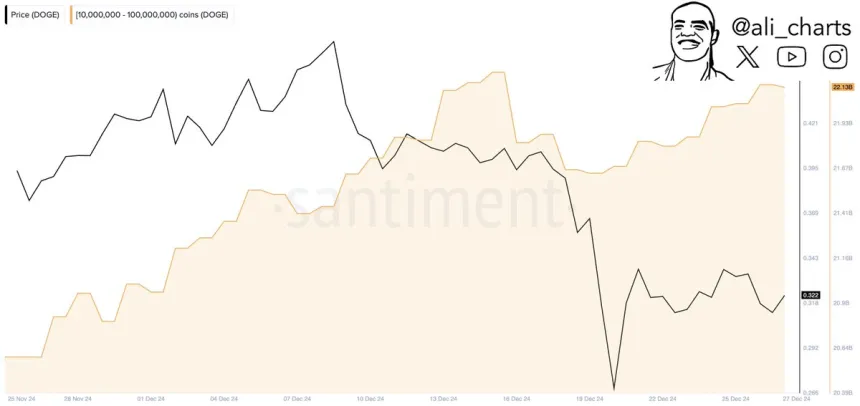 Dogecoin Whale accumulation taking place 