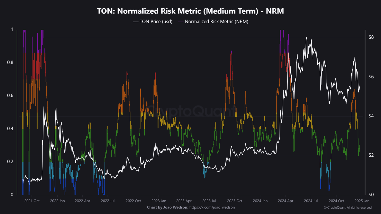 Toncoin (TON) Normalized Risk Metric (NMR)