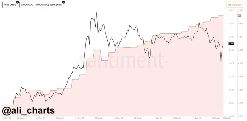 XRP Whales Loading Up