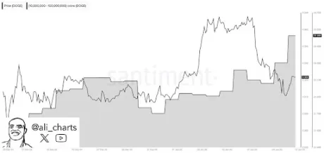 Dogecoin Chart