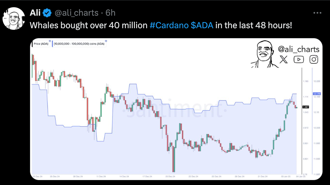 Цена Cardano