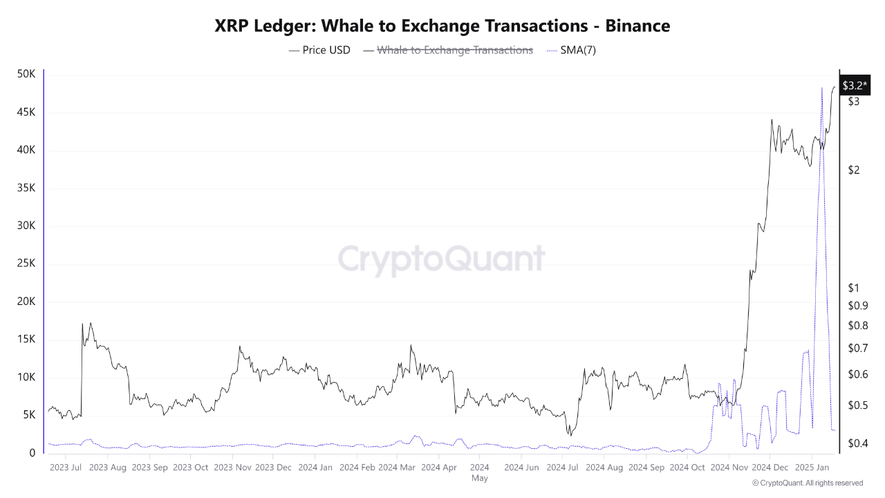 XRP Whale Transactions