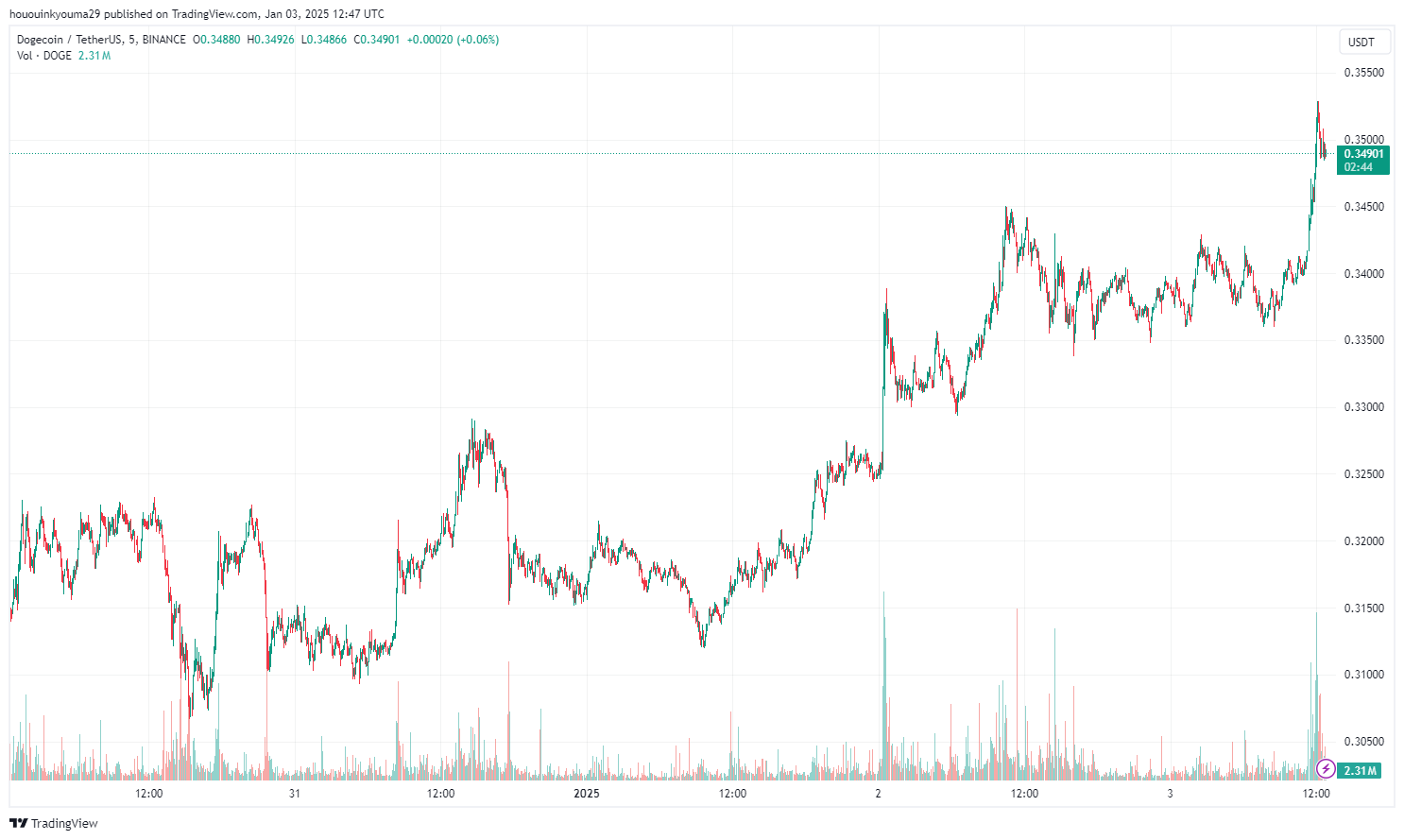Dogecoin Price Chart