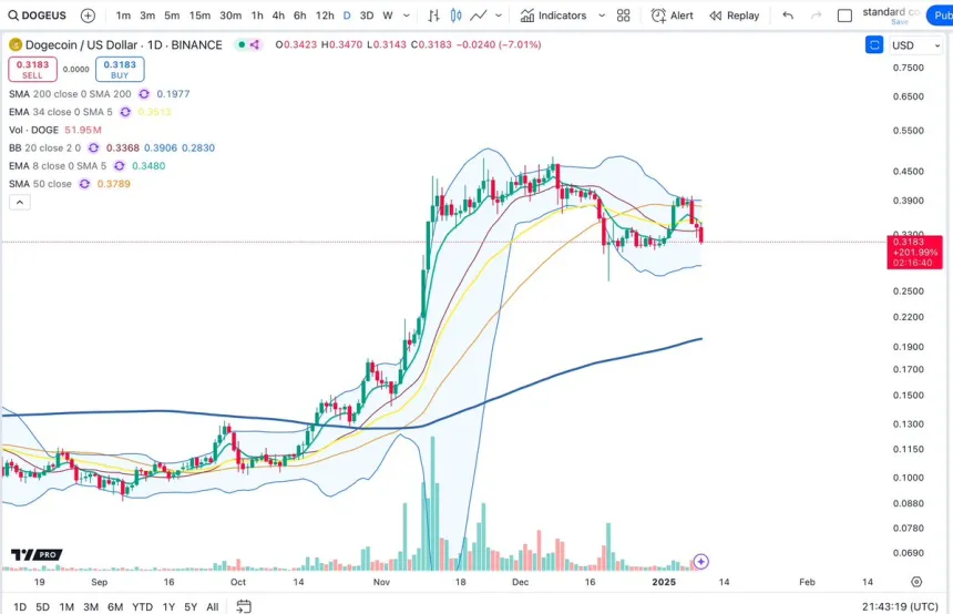 Dogecoin Testing Daily Demand