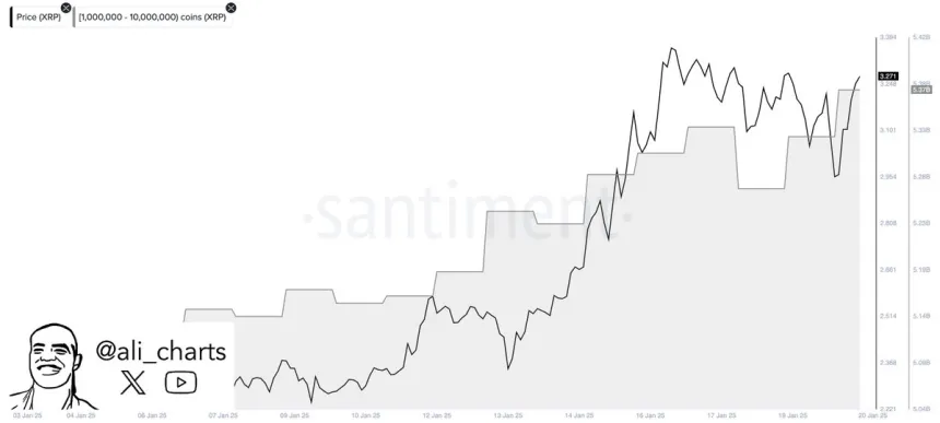 Whales buy 100 million XRP in 48H