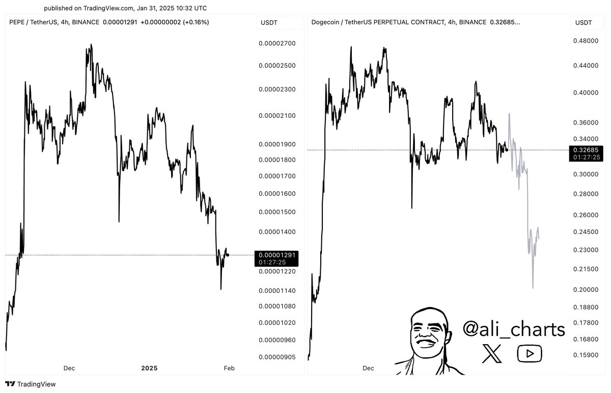 Dogecoin Price Chart