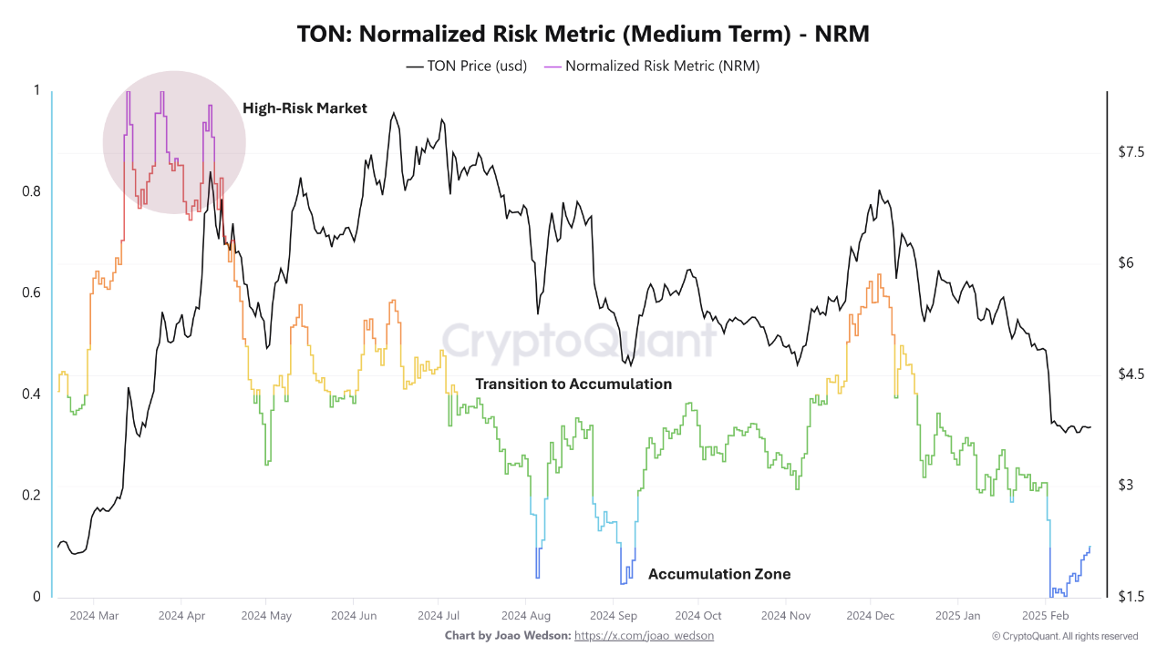 Нормализованная риск-метрика Toncoin (NRM)