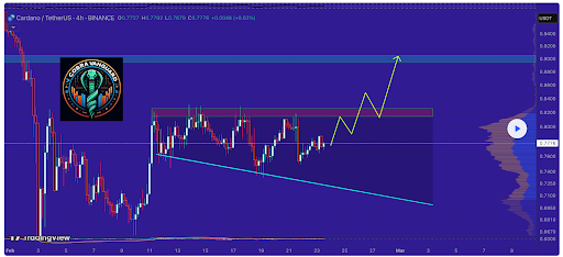 Cardano Chart