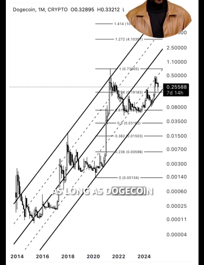 Dogecoin price