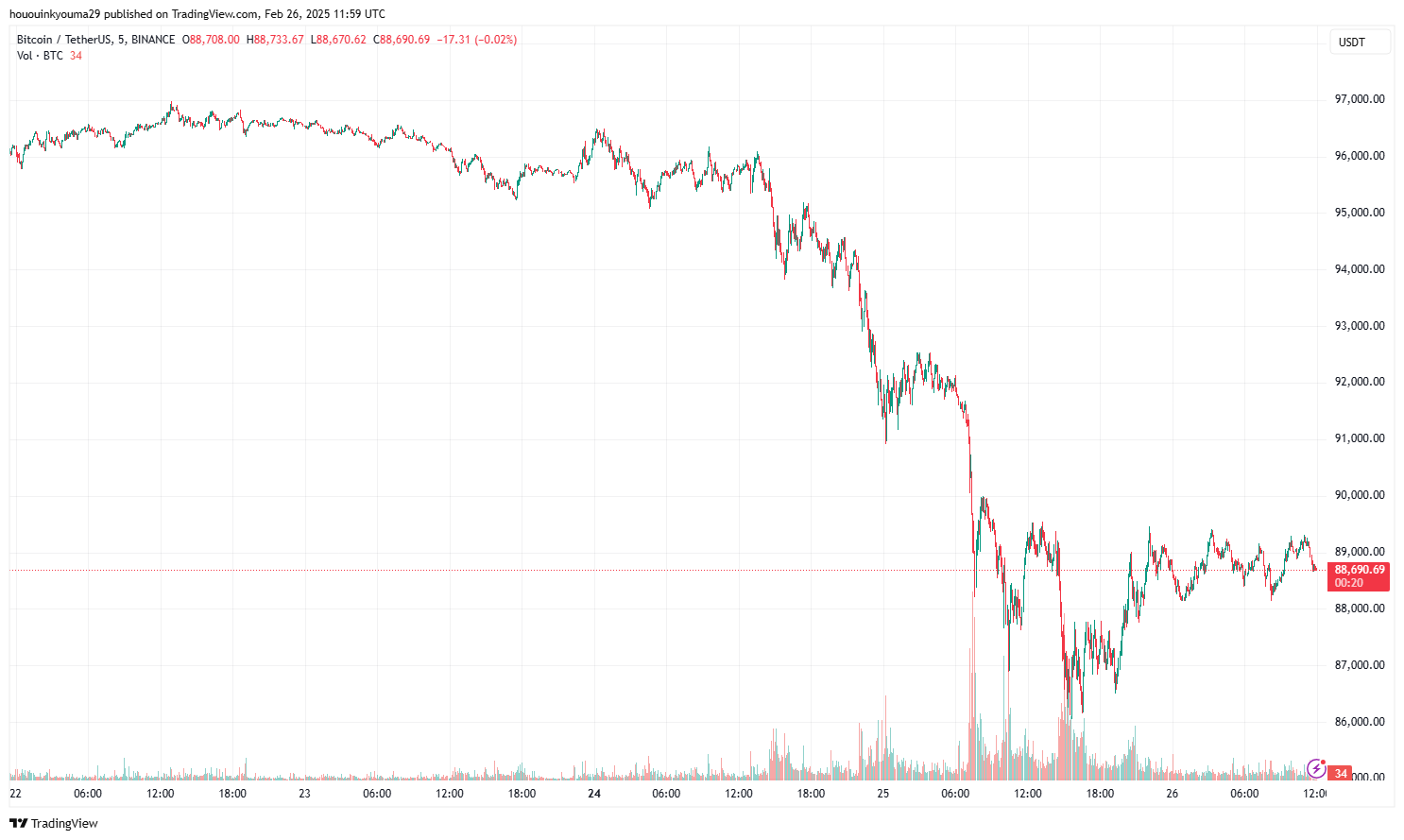 Bitcoin Price Chart