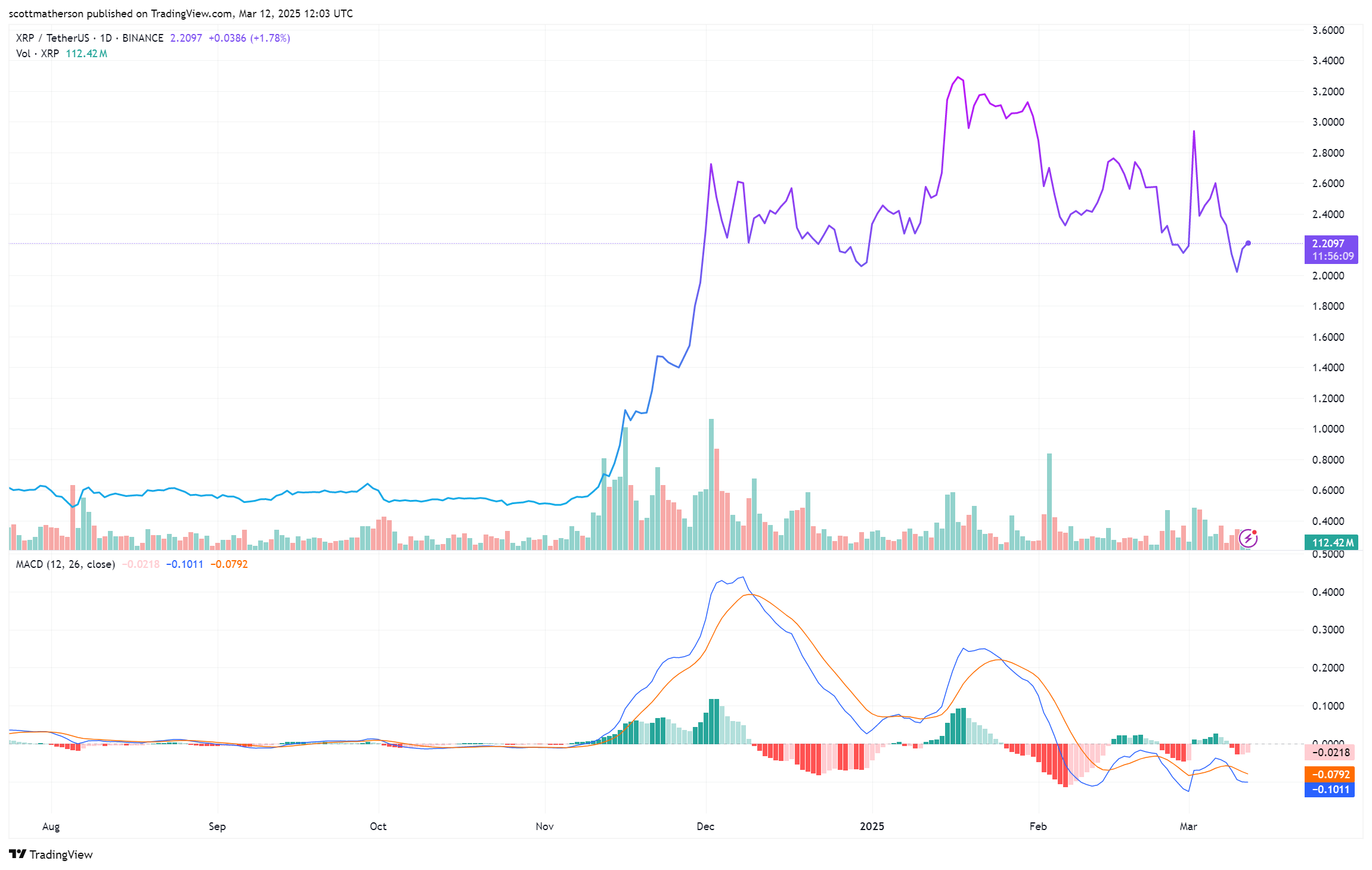 XRP Whale Activity