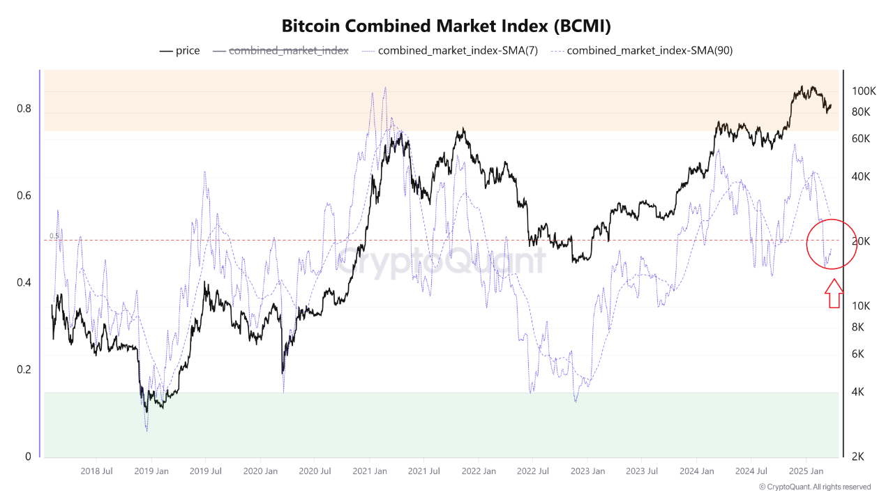 Bitcoin Combined Market Index (BCMI)