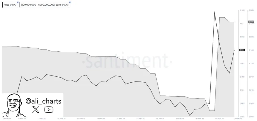 Cardano whales bought 420M ADA since Sunday