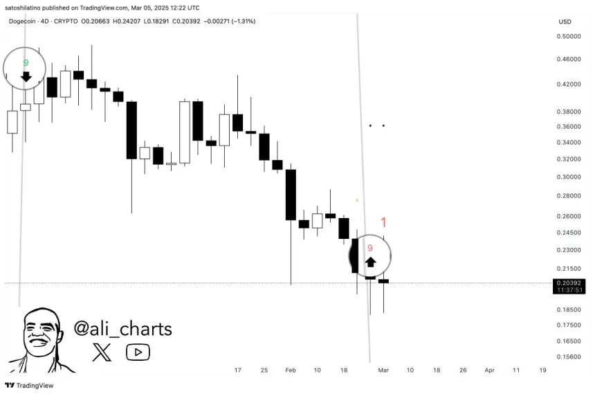 Индикатор TD Sequential показывает сигнал на покупку для Dogecoin