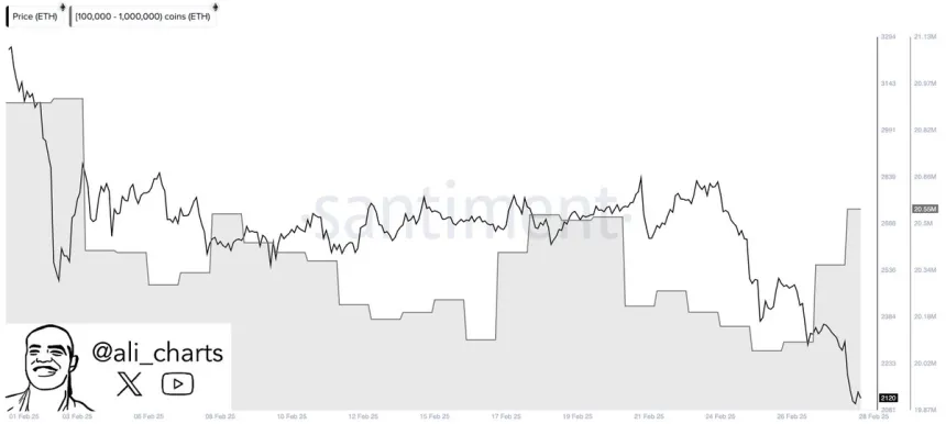 Ethereum Whales Bought 190,000 ETH in 24H | Source: Ali Martinez on X