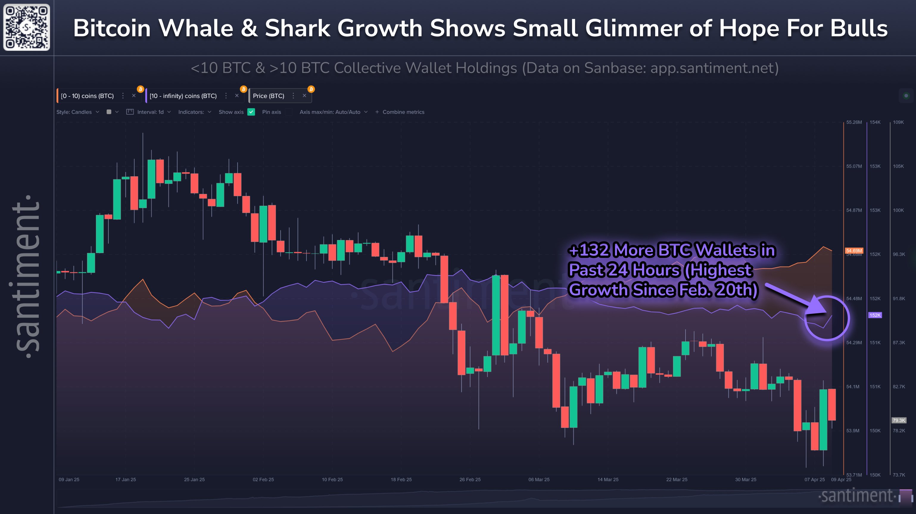 Bitcoin Sharks & Whales