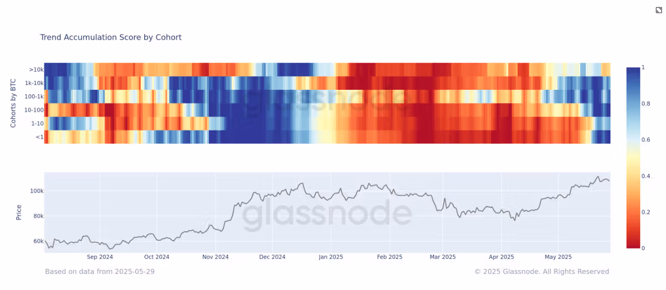 Trend Accumulation Score by Cohort (Glassnode)