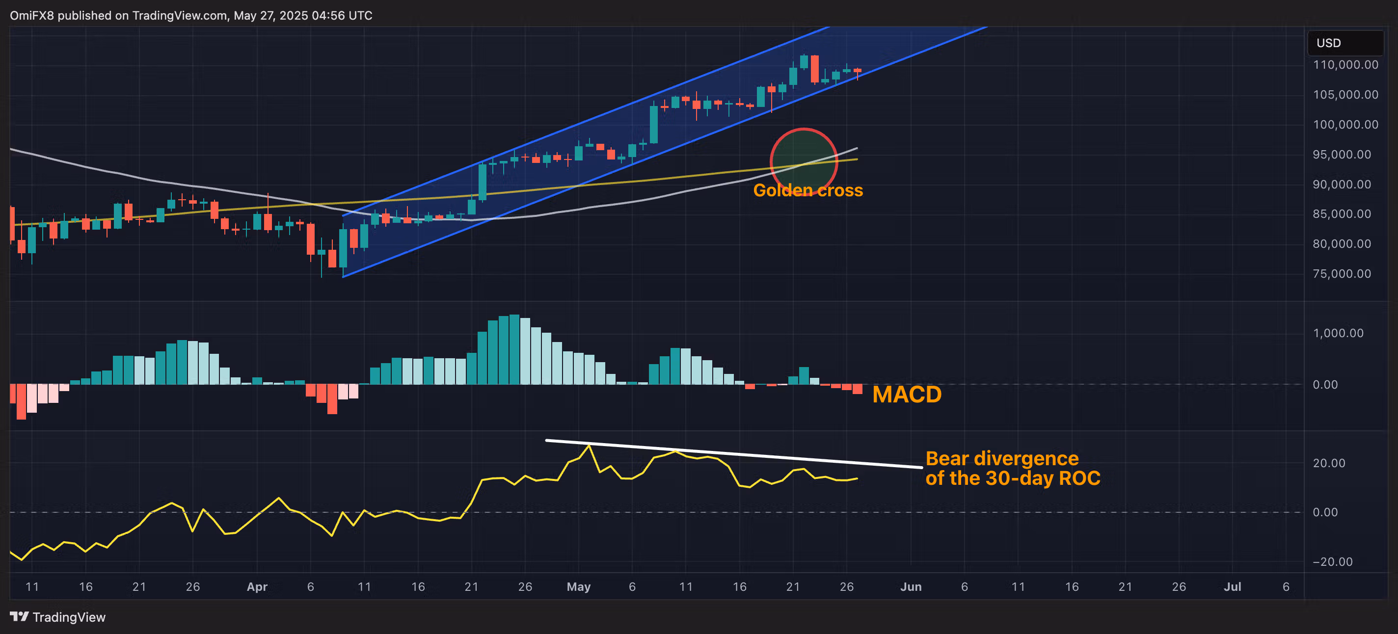 BTC's daily chart. (TradingView/CoinDesk)