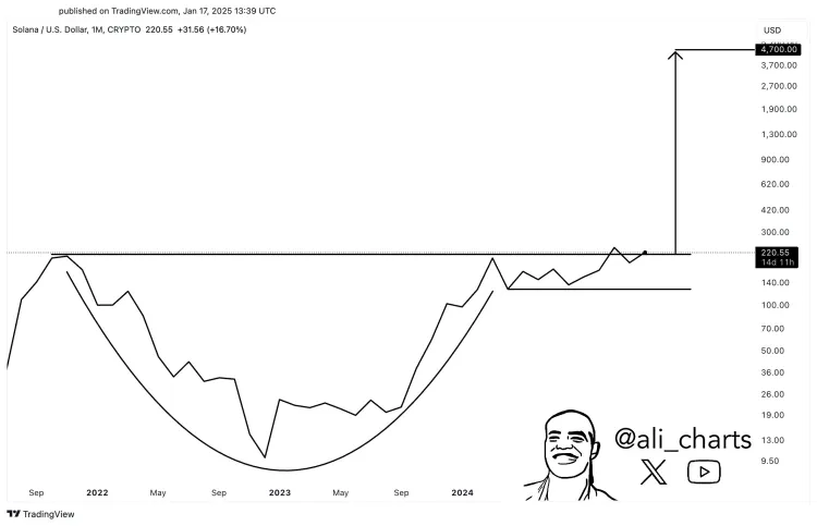 $SOL cup and handle