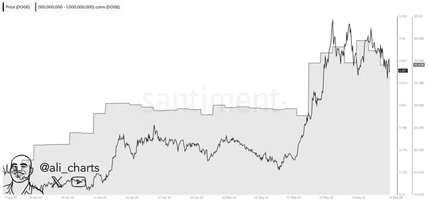 Dogecoin whales bought 1B DOGE in a month | Source: Ali Martinez on X