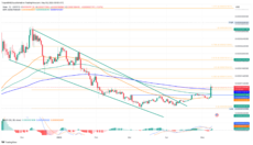 График цены Pepe. Источник: Trading View