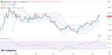 График цены HYPE с RSI и полосами Боллинджера | Источник: Trading View