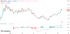 График цены HYPE с MACD | Источник: Trading View