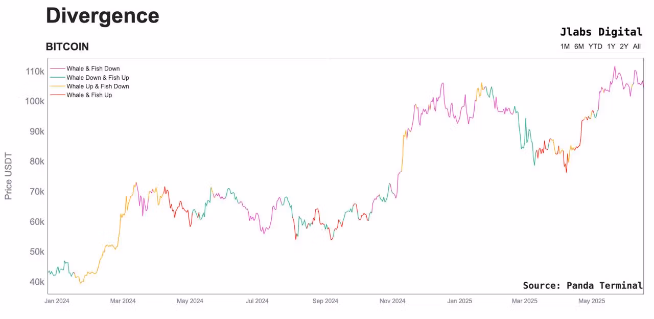 Bitcoin accumulation patterns. (Panda Terminal)