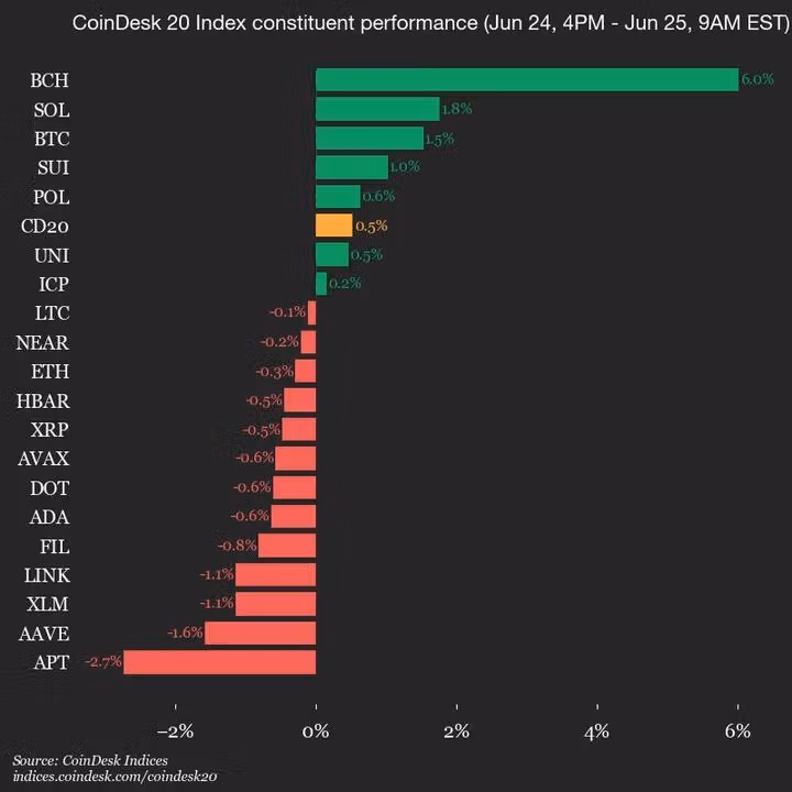 9am CoinDesk 20 Update for 2025-06-25: vertical chart