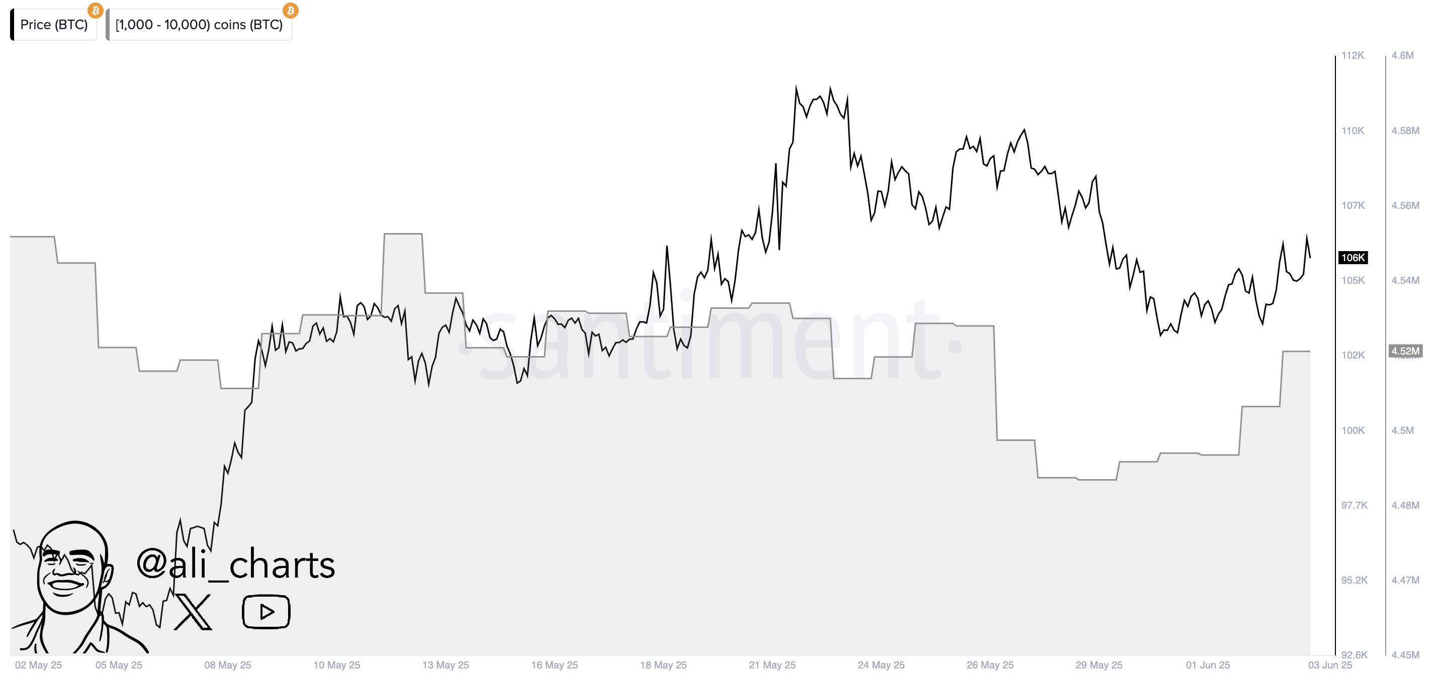Bitcoin Whales
