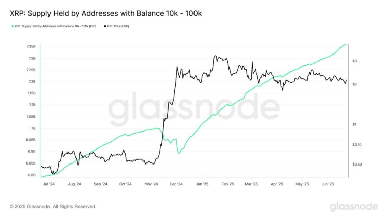 XRP Holdings by Whales