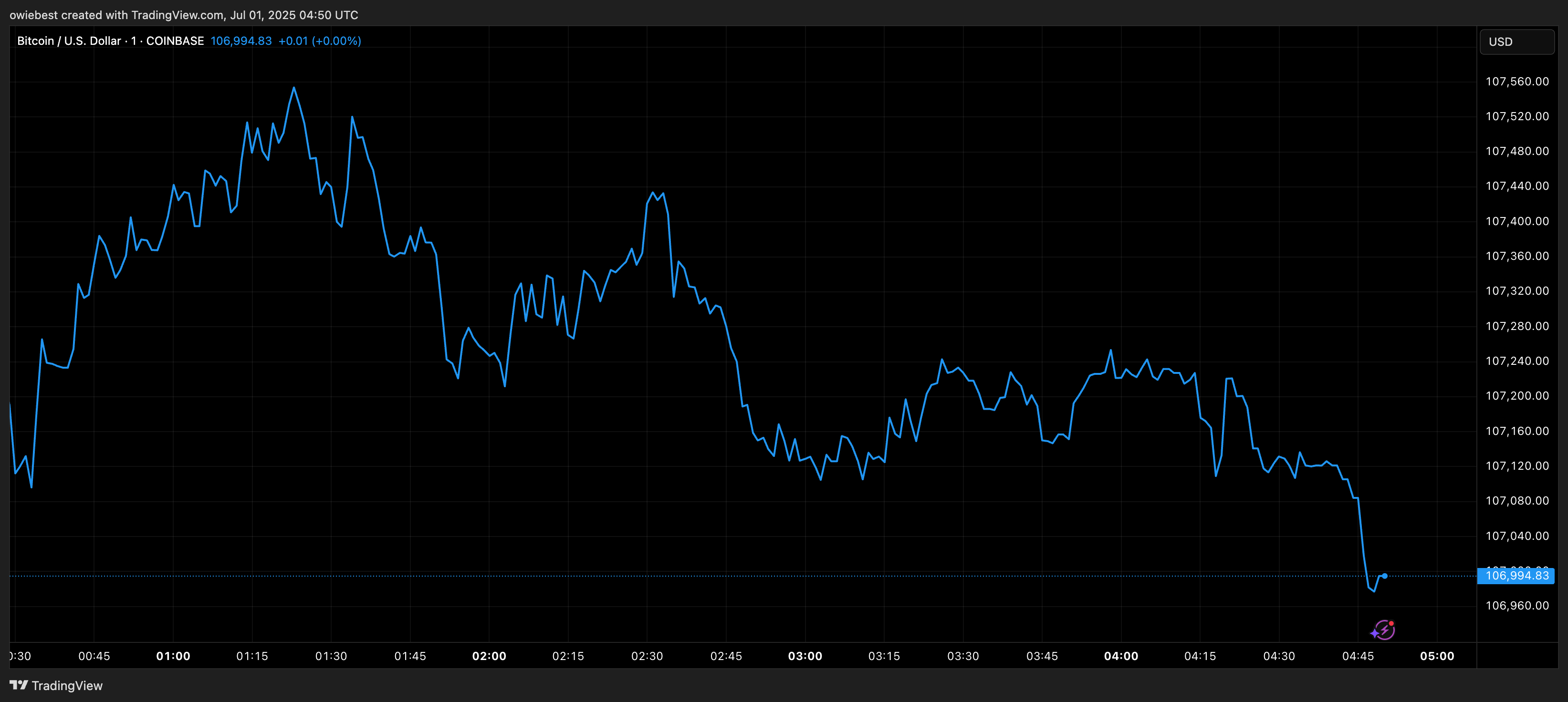 Bitcoin price chart